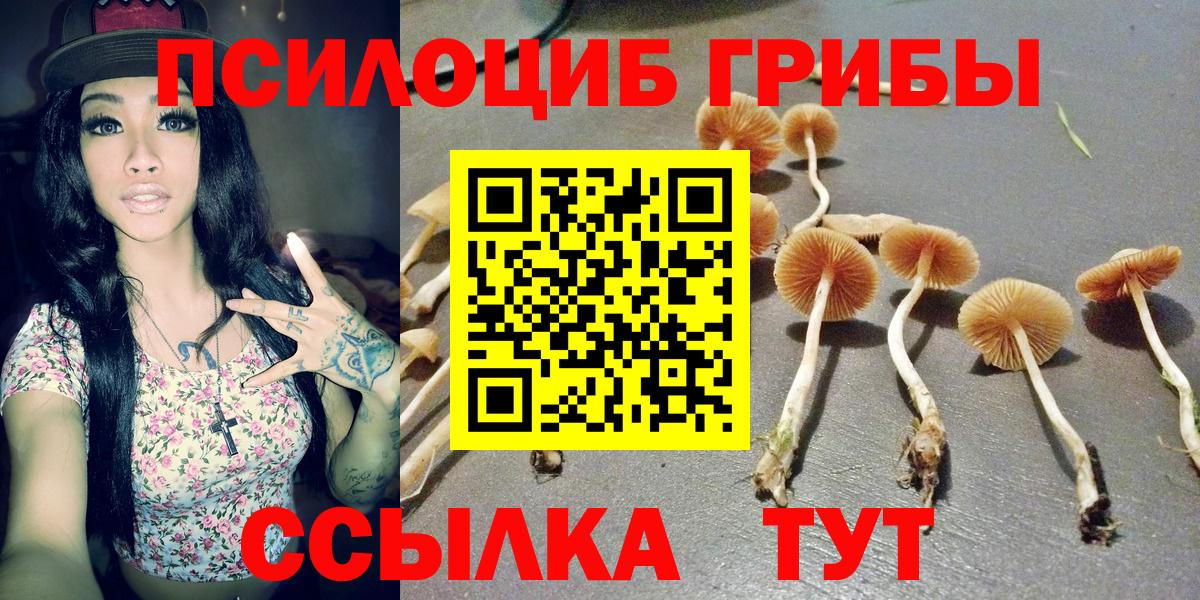 Галлюциногенные грибы мицелий Санкт-Петербург