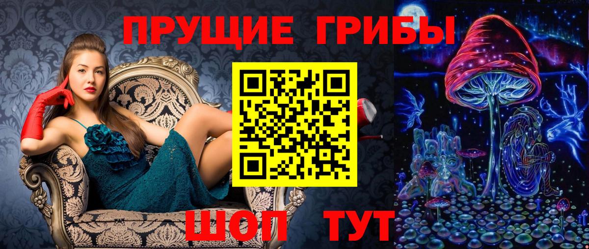 Псилоцибиновые грибы GOLDEN TEACHER  Вход с VPN  Галлюциногенные грибы GOLDEN TEACHER  Санкт-Петербург 